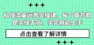 私域流量运营实操课,每个章节都是实操干货,学完就能上手-91创业项目库
