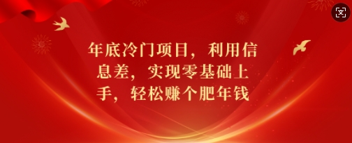 年底冷门项目，利用信息差，实现零基础上手，轻松赚个肥年钱【揭秘】-91创业项目库