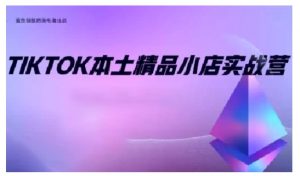 TikTok本土精品小店出海实战营，从入门到高阶，不止0-1!-91创业项目库
