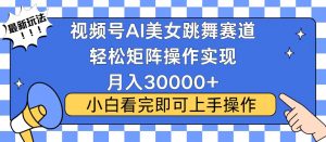 视频号蓝海赛道玩法，当天起号，拉爆流量收益，小白也能轻松月入30000+-91创业项目库