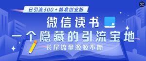 微信读书，一个隐藏的引流宝地，不为人知的小众打法，日引流300+精准创业粉，长尾流量源源不断-91创业项目库