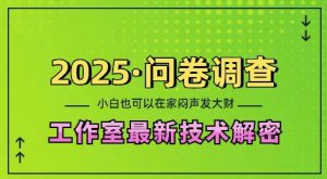 2025问卷调查最新工作室技术解密：一个人在家也可以闷声发大财，小白一天2张，可矩阵放大【揭秘】-91创业项目库
