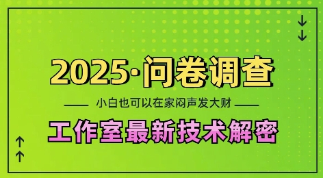 2025问卷调查最新工作室技术解密：一个人在家也可以闷声发大财，小白一天2张，可矩阵放大【揭秘】-91创业项目库