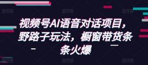 视频号AI语音对话项目，野路子玩法，橱窗带货条条火爆-91创业项目库