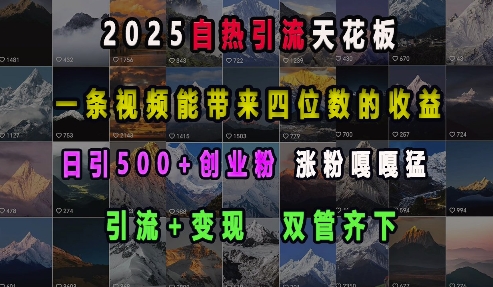 2025自热引流天花板，一条视频能带来四位数的收益，引流+变现双管齐下，日引500+创业粉，涨粉嘎嘎猛-91创业项目库