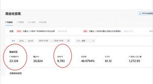 抖音雪花无人直播，一天躺赚3000+，0粉手机可搭建，不违规不限流，小白...-91创业项目库