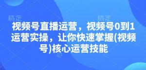 视频号直播运营，视频号0到1运营实操，让你快速掌握(视频号)核心运营技能-91创业项目库