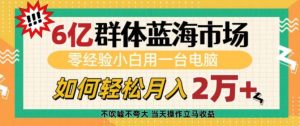6亿群体蓝海市场，零经验小白用一台电脑，如何轻松月入过w【揭秘】-91创业项目库