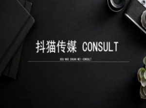 抖猫学院小红书聚光详细操作流程实操-91创业项目库