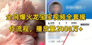 全网爆火龙宝宝视频全套操作流程，播放量2000万+-91创业项目库