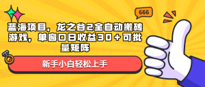 蓝海项目，龙之谷2全自动搬砖游戏，单窗口日收益30＋可批量矩阵-91创业项目库