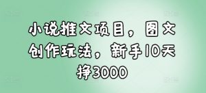 小说推文项目，图文创作玩法，新手10天挣3000-91创业项目库