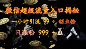 微信超级流量入口揭秘：一小时引流 99 + 创业粉，日涨粉 999 +-91创业项目库
