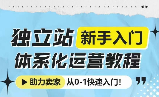 独立站新手入门体系化运营教程,助力独立站卖家从0-1快速入门!-91创业项目库