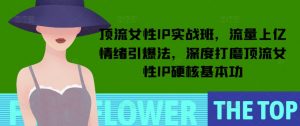顶流女性IP实战班，流量上亿情绪引爆法，深度打磨顶流女性IP硬核基本功-91创业项目库
