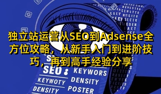 独立站运营从SEO到Adsense全方位攻略，从新手入门到进阶技巧，再到高手经验分享-91创业项目库