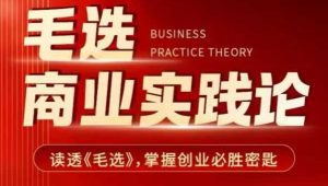 毛选商业实践论，读透《毛选》掌握创业必胜密匙-91创业项目库