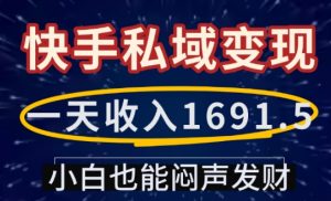 一天收入1691.5，快手私域变现，小白也能闷声发财-91创业项目库