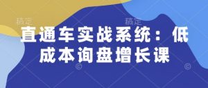 直通车实战系统：低成本询盘增长课，让个人通过技能实现升职加薪，让企业低成本获客，订单源源不断-91创业项目库