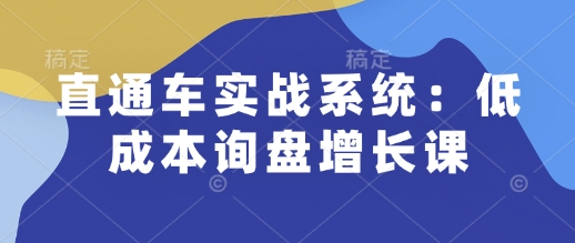 直通车实战系统：低成本询盘增长课，让个人通过技能实现升职加薪，让企业低成本获客，订单源源不断-91创业项目库