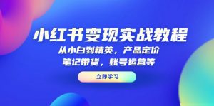 小红书变现实战教程:从小白到精英,产品定价,笔记带货,账号运营等-91创业项目库