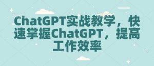 ChatGPT实战教学，快速掌握ChatGPT，提高工作效率-91创业项目库