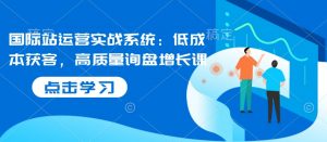 国际站运营实战系统:低成本获客,高质量询盘增长课-91创业项目库