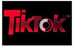 TikTok ads投流秘籍，涵盖tiktok整体投放思路，教你搭建测试计划-91创业项目库