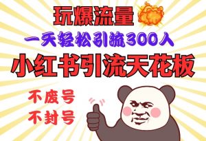 小红书引流天花板，玩爆流量，一天轻松引流300人，安全操作-91创业项目库