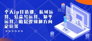 个人ip打造课，私域运营，公众号运营，知乎运营，底层逻辑和方向定位等-91创业项目库