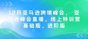 12月亚马逊跨境峰会， 亚马逊峰会直播，线上特训营基础版，进阶版-91创业项目库