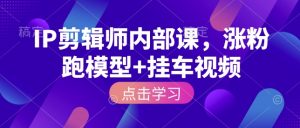 IP剪辑师内部课，涨粉跑模型+挂车视频-91创业项目库