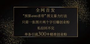 小红书神奇图片引流法，只需一张图，就能单条笔记凭借此方法，轻松引流 300 + 精准创业粉-91创业项目库
