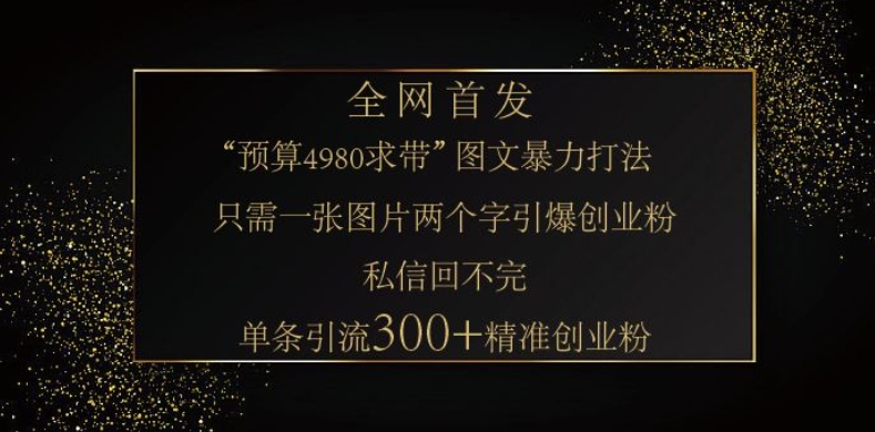 小红书神奇图片引流法，只需一张图，就能单条笔记凭借此方法，轻松引流 300 + 精准创业粉-91创业项目库
