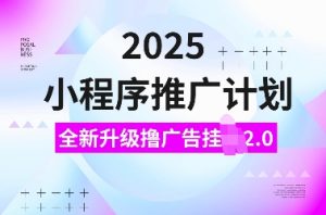2025小程序推广计划，全新升级撸广告挂JI2.0玩法，日入多张，小白可做【揭秘】-91创业项目库