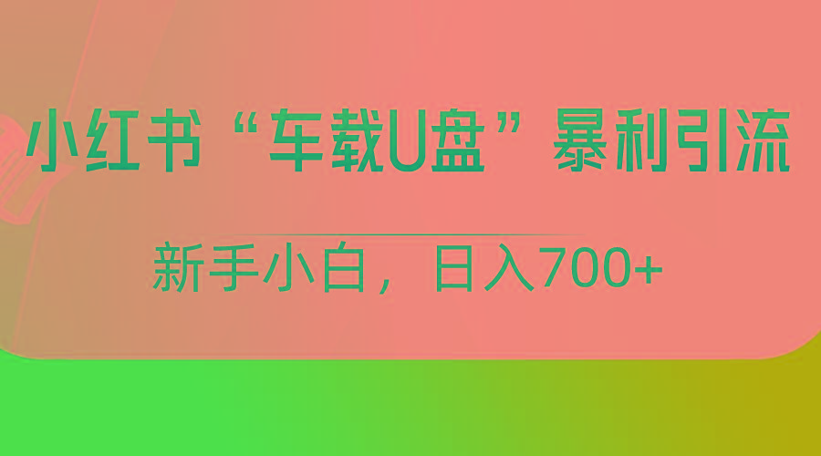 小红书“车载U盘”项目，暴利引流，新手小白轻松日入700+-91创业项目库