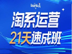 淘系运营21天速成班35期，年前最后一波和2025方向-91创业项目库