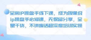 全案IP操盘手线下课，成为现象级ip操盘手必修课，无保留分享，全是干货，不讲废话超深度培训实操-91创业项目库