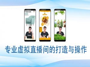 个人虚拟直播间的搭建与操作，专业虚拟直播间的打造与操作-91创业项目库