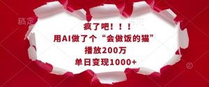 疯了吧！用AI做了个“会做饭的猫”，播放200万，单日变现1k-91创业项目库