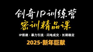 2025年“知识付费IP训练营”小白避坑年赚百万，暴力引流，闪电成交-91创业项目库