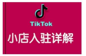 TikTok跨境小店运营全攻略，帮助你独立运营TK跨境小店的能力，实现销量增长-91创业项目库