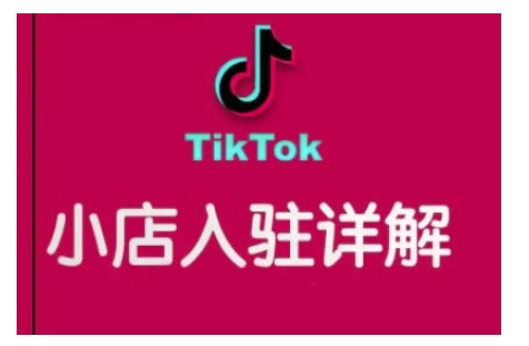 TikTok跨境小店运营全攻略，帮助你独立运营TK跨境小店的能力，实现销量增长-91创业项目库