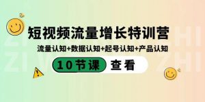 短视频流量增长特训营：流量认知+数据认知+起号认知+产品认知（10节课）-91创业项目库