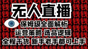 2025无人直播这么做就对了，保姆级全面解析，全程干货，新手老手都可上手-91创业项目库