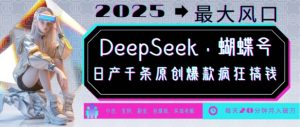 DeepSeek+蝴蝶号，2025年最大风口，日产千条原创爆款，轻松月入破W-91创业项目库