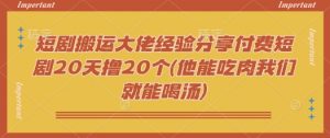 短剧搬运大佬经验分享付费短剧20天撸20个(他能吃肉我们就能喝汤)-91创业项目库