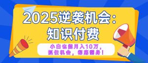 2025逆袭项目——知识付费，小白也能月入10万年入百万，抓住机会彻底翻...-91创业项目库