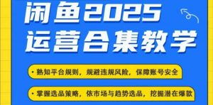 2025闲鱼电商运营全集，2025最新咸鱼玩法-91创业项目库