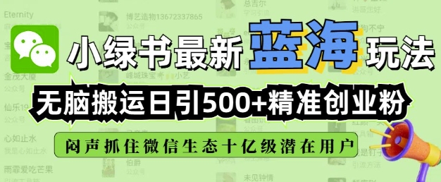 小绿书无脑搬运引流，全自动日引500精准创业粉，微信生态内又一个闷声发财的机会-91创业项目库